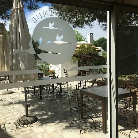 Lou Garbin Saint-Laurent-d'Aigouze