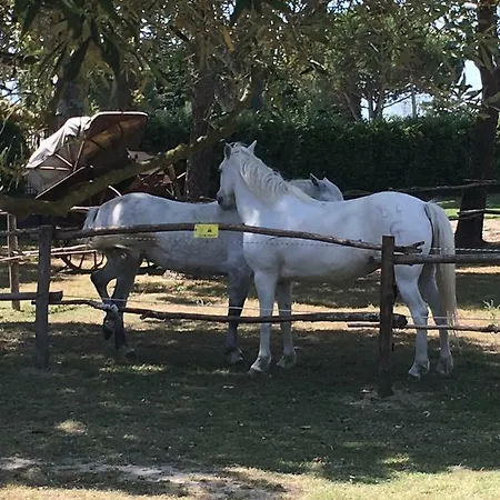 Отель Lou Garbin Сен-Лоран-Д'Эгуз